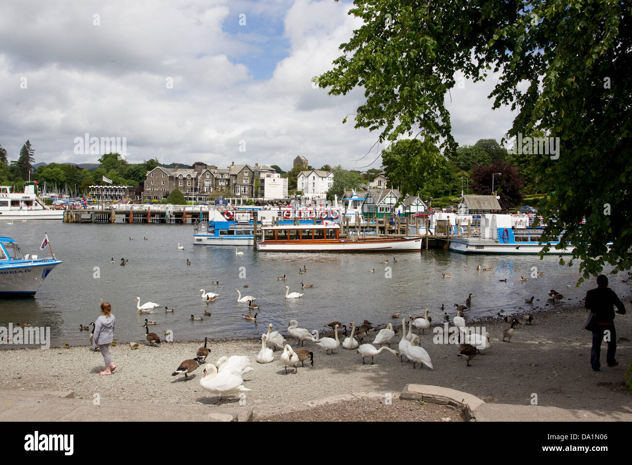 Bowness auf Windermere, Cumbria, England. 1. Juli 2013. Bowness Bay am Lake Windermere. Schwäne & Gänse werden Futtermittel mit Passagier Kreuzfahrt Boote im Hintergrund Credit: Shoosmith Sammlung/Alamy Live News Stockfoto