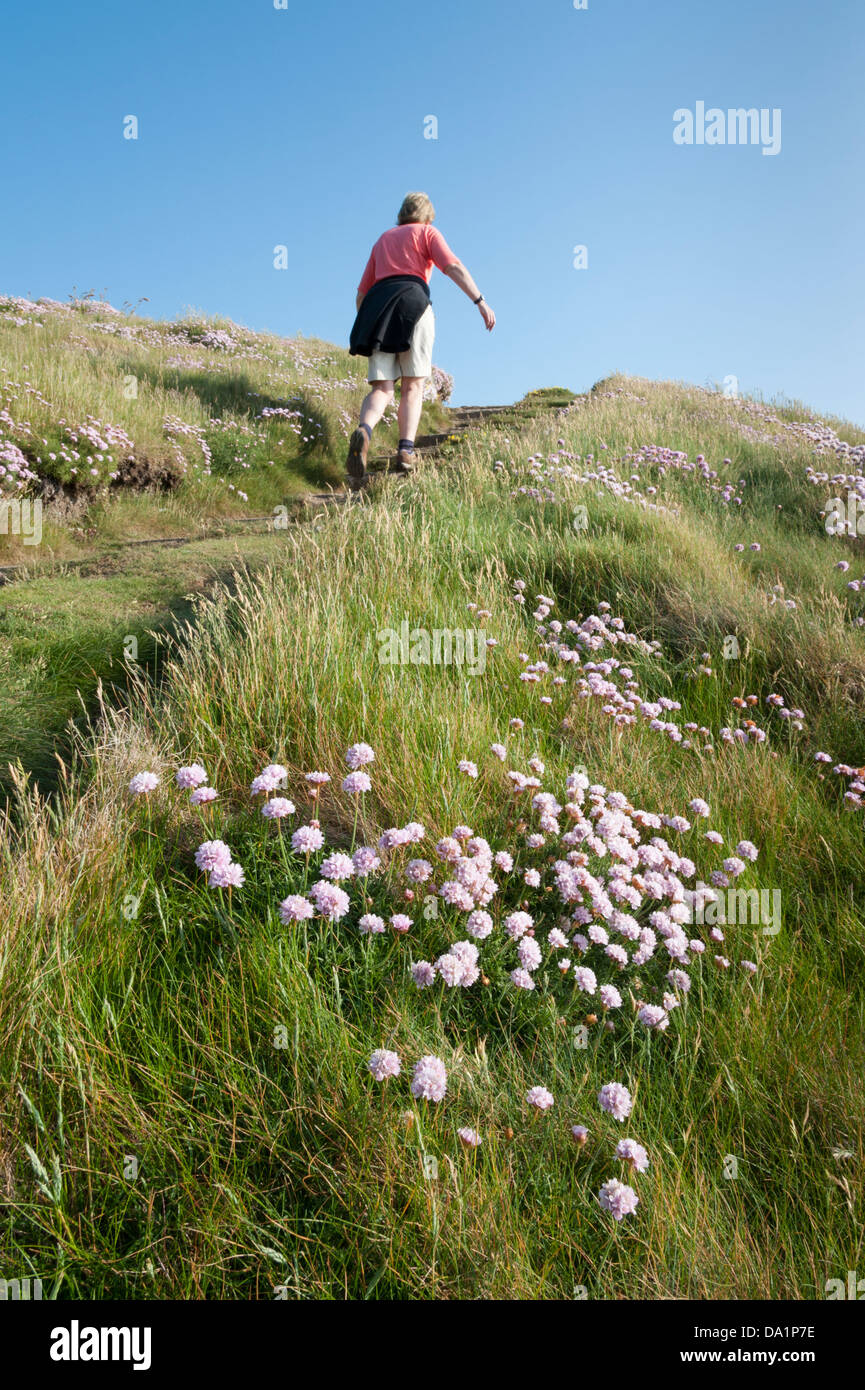Eine Frau, die die Küste Wanderweg vorbei an wilden Blumen North Cornwall UK in der Nähe von Porthcothan Stockfoto