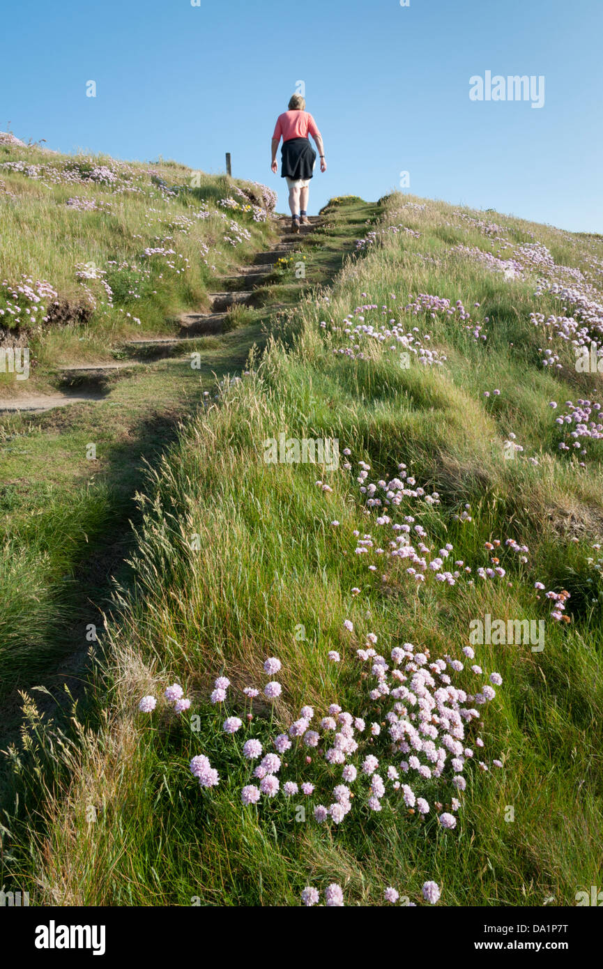 Eine Frau, die die Küste Wanderweg vorbei an wilden Blumen North Cornwall UK in der Nähe von Porthcothan Stockfoto