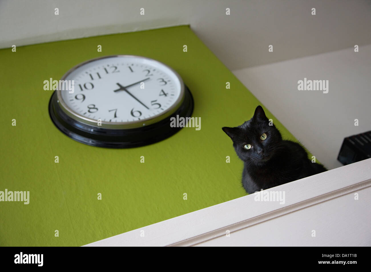 Uhr und schwarzen inländischen Hauskatze (Felis Catus) ruht auf Kaminsims im Wohnzimmer des Hauses Stockfoto
