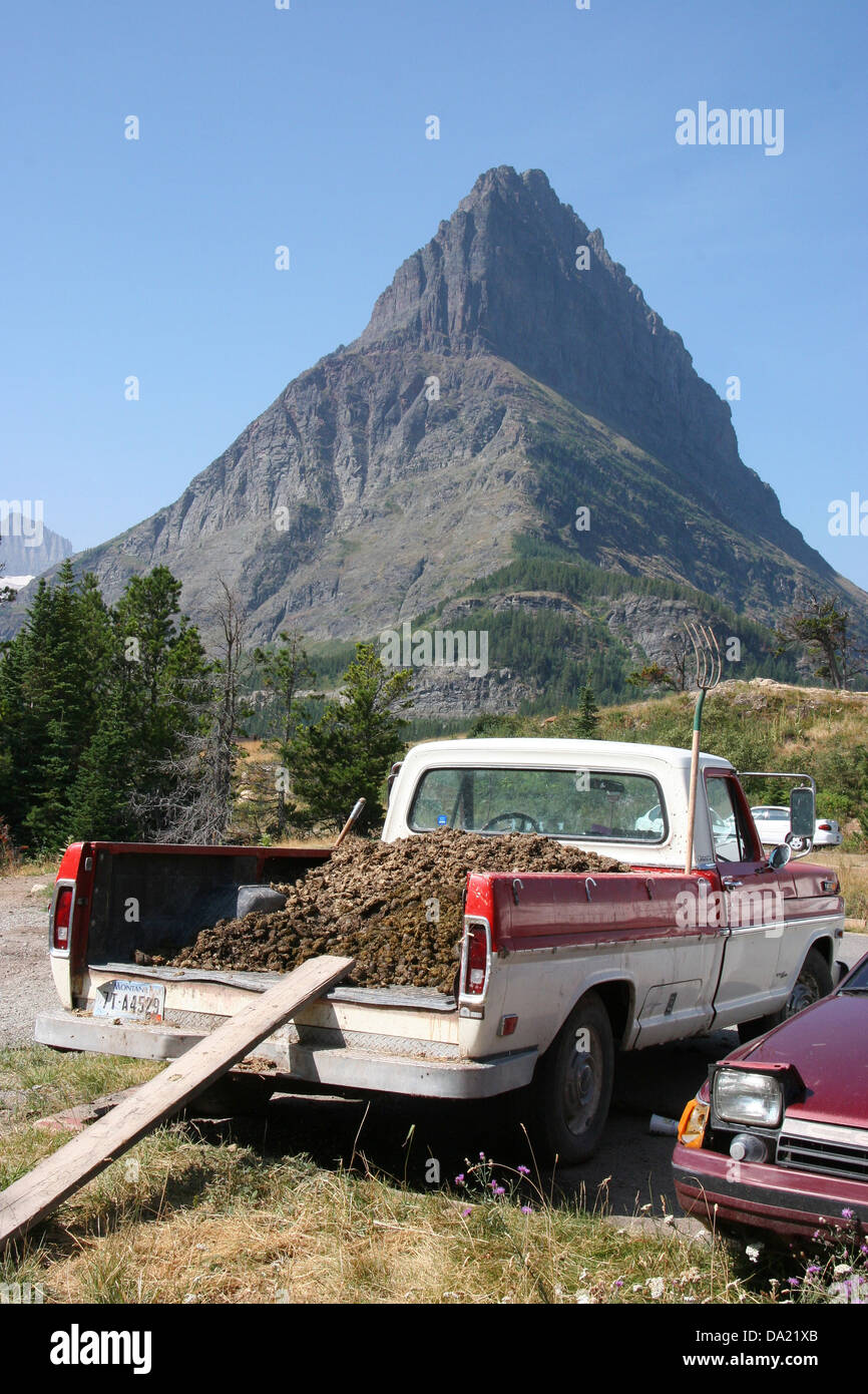 Ein Pick up Truck voller Pferdemist mit Berg im Hintergrund, Glacier National Park, Montana, Vereinigte Staaten von Amerika Stockfoto