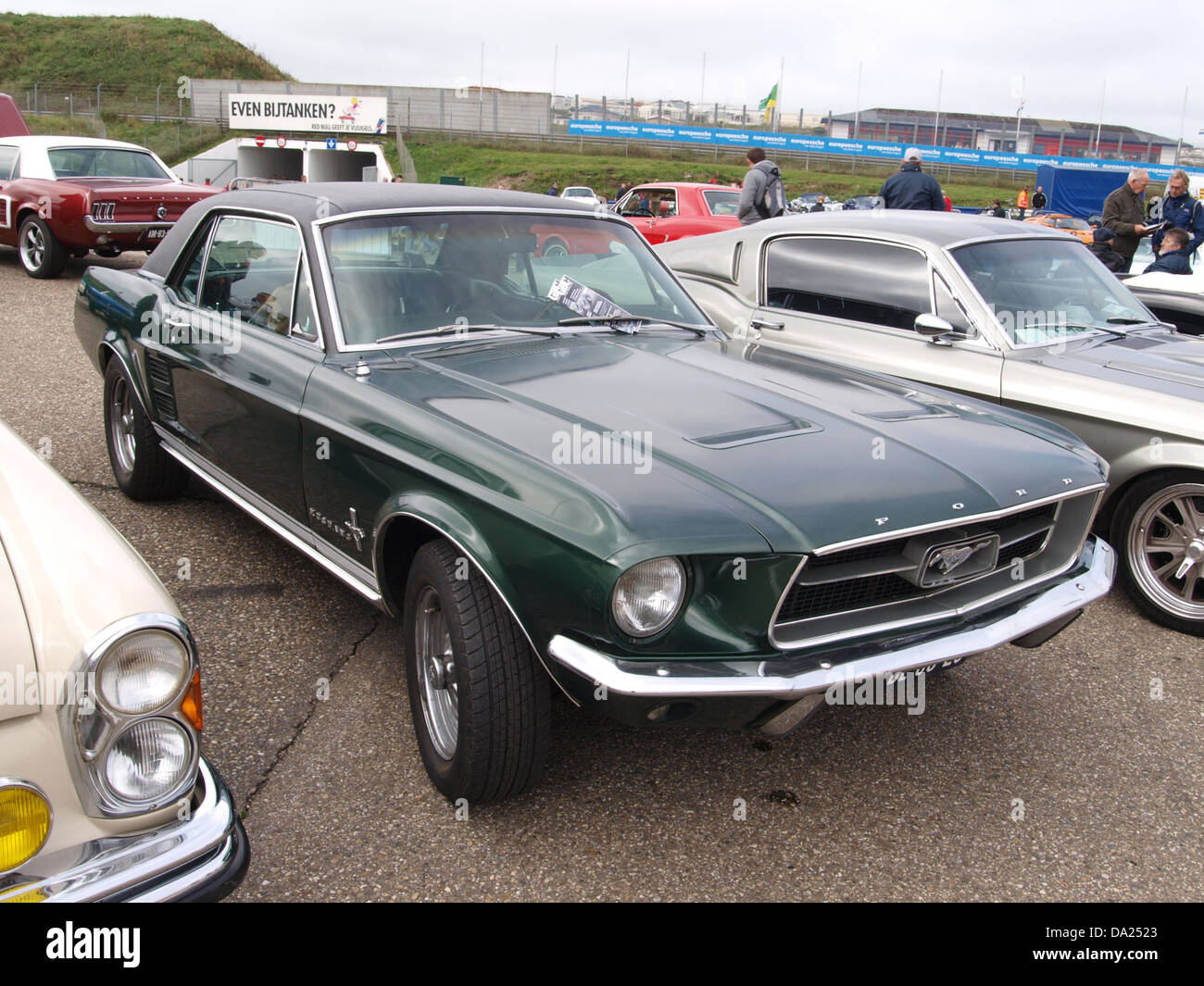 Dieses 1966 Ford Mustang 2+2 Hardtop, Modell 289, wurde 2010 auf dem Nationaal Oldtimer Festival in Zandvoort vorgestellt. Der klassische amerikanische Muscle Car wurde für sein Design und seine Leistung in der Oldtimer-Community gefeiert. Stockfoto
