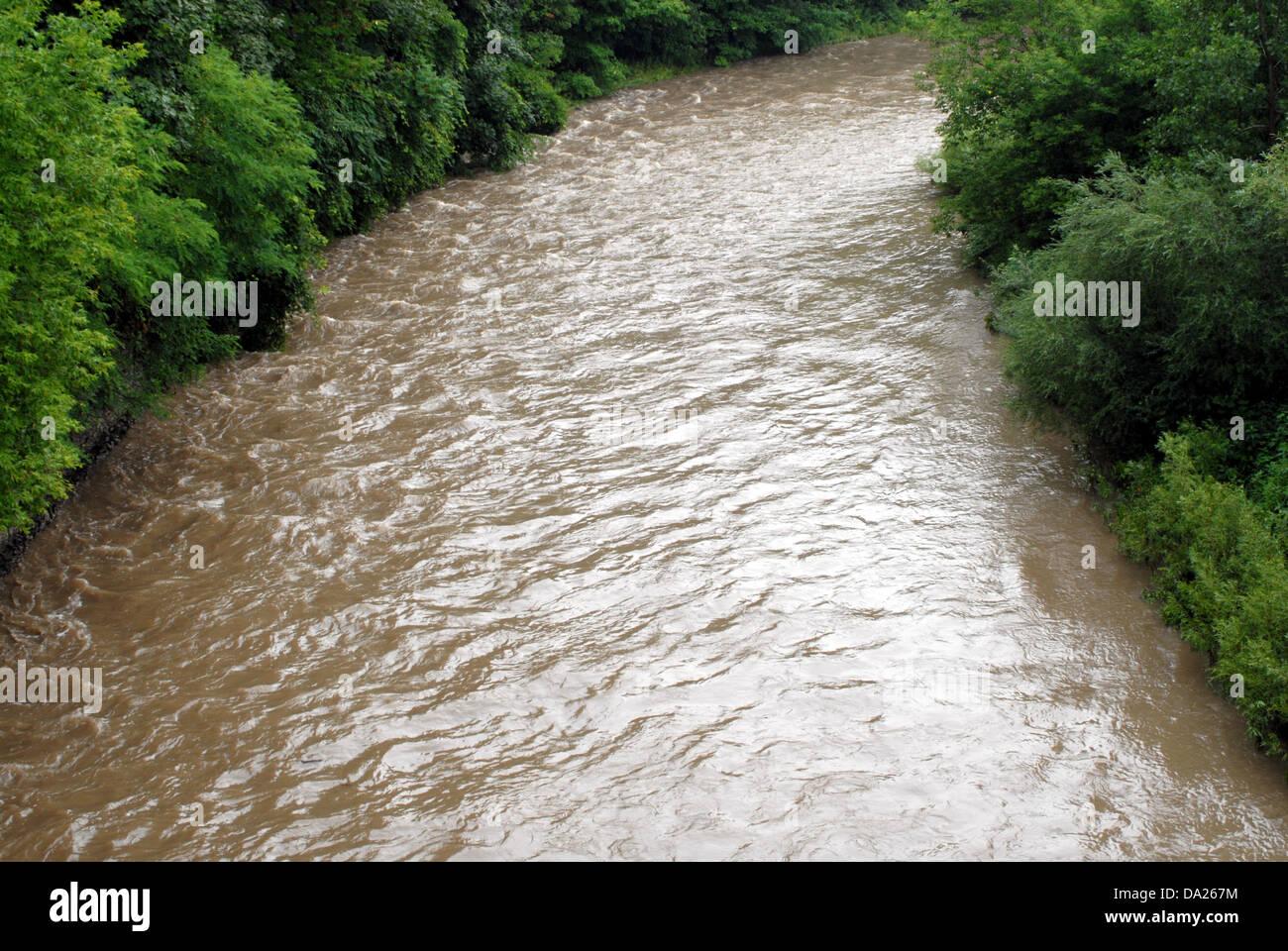 Schlammigen braunen Fluss im grünen Wald. Stockfoto