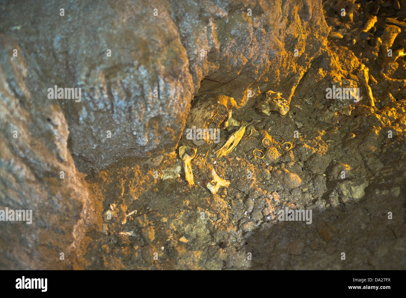 Dh Waitomo Höhlen WAITOMO NEUSEELAND Moa Skelett Höhle Stockfoto
