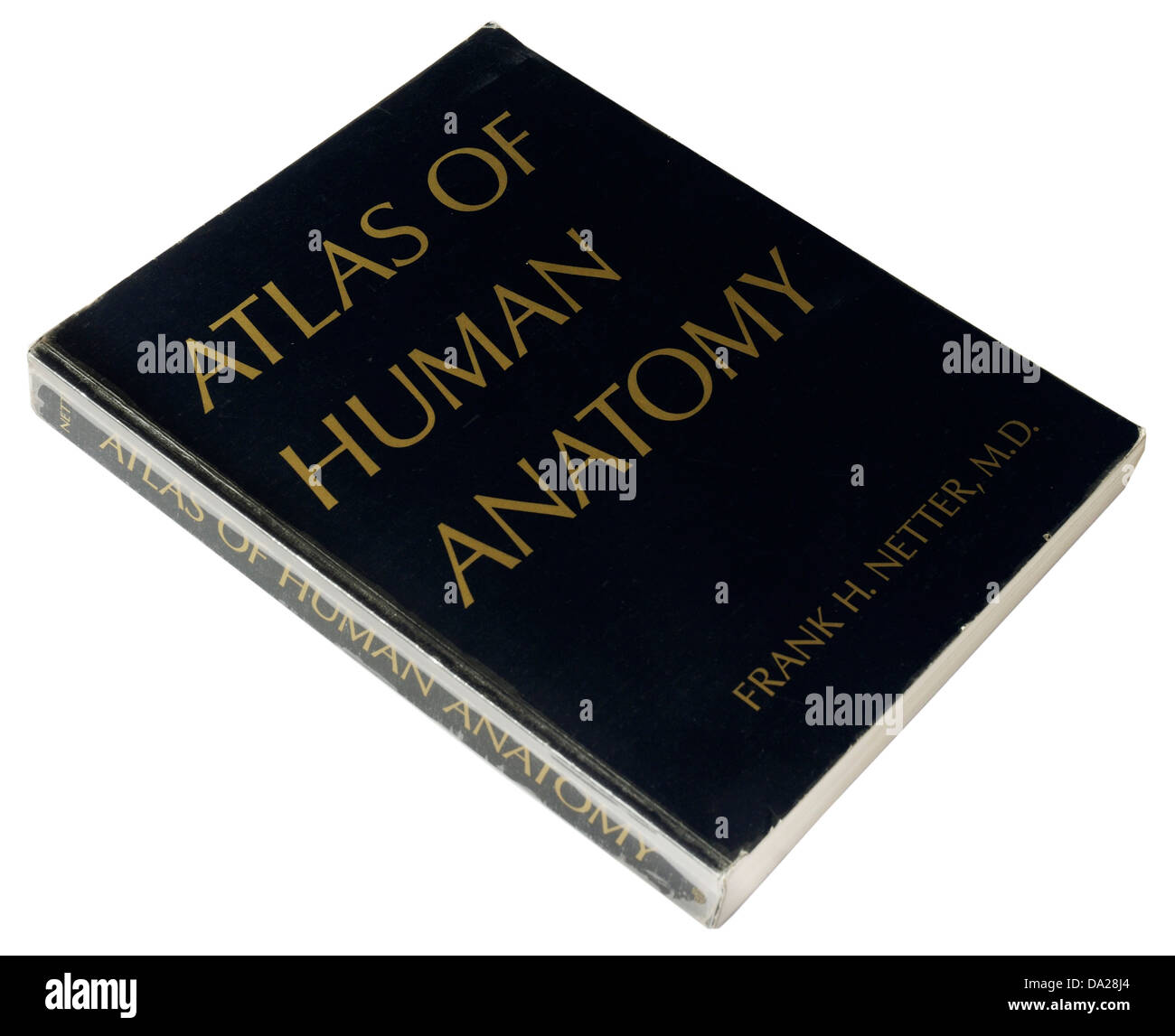 Atlas der menschlichen Anatomie von Frank Netter Stockfoto