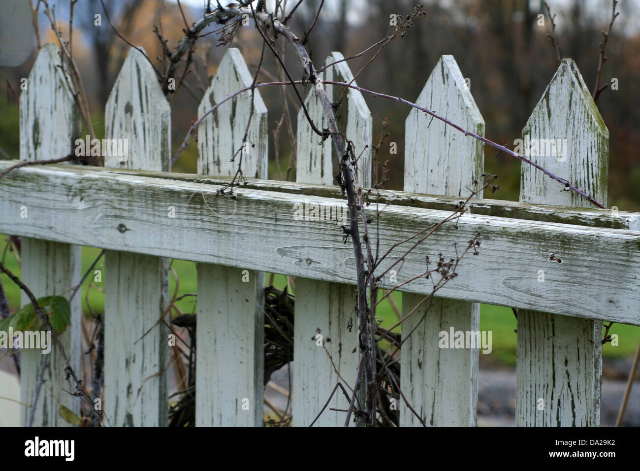 weißer Zaun alten verwitterten Rebe Gartenhaus Bauernhof horizontale Stockfoto
