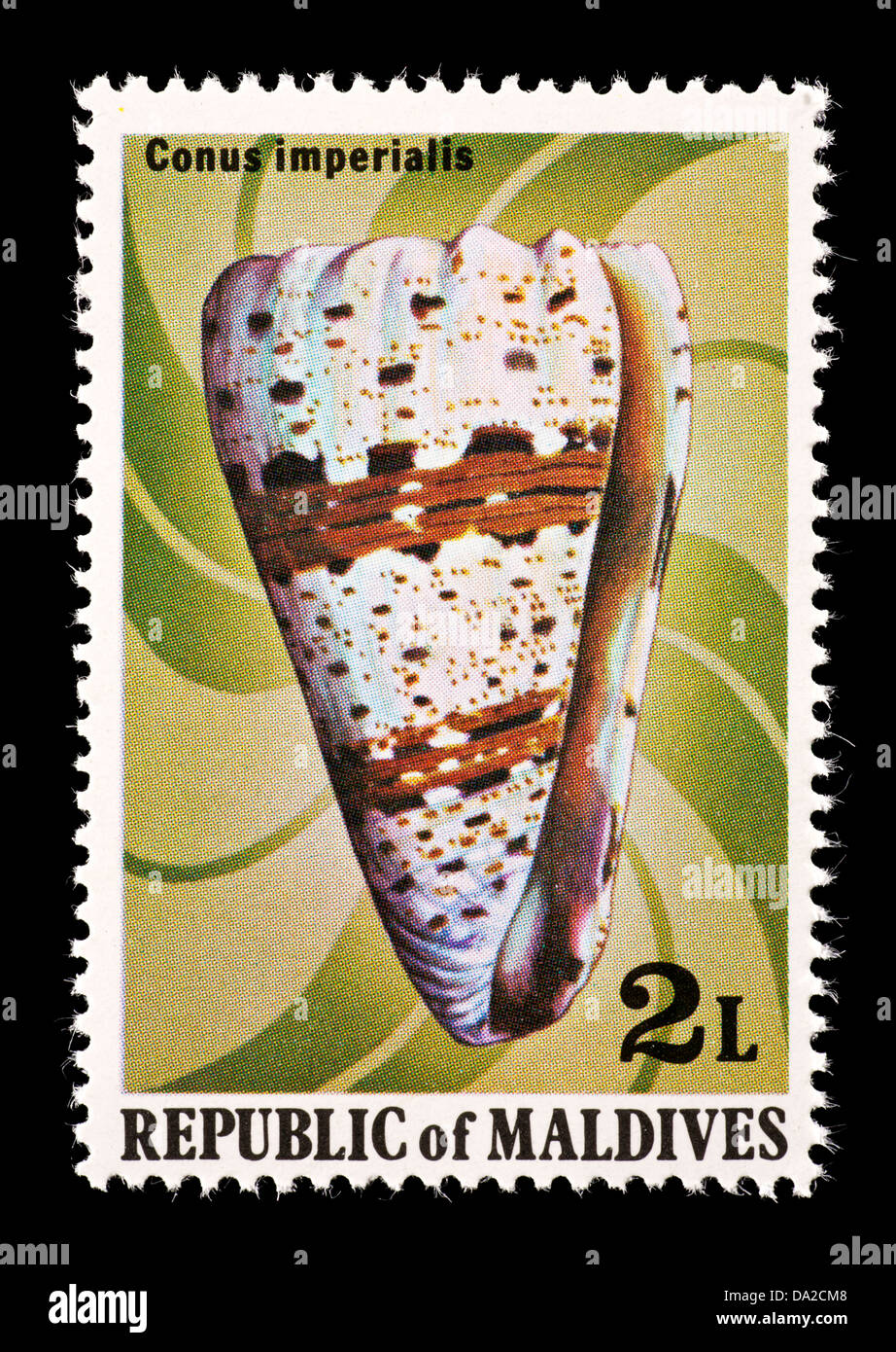 Briefmarke von den Malediven Darstellung einer kaiserlichen Kegel (Conus Imperialis) Stockfoto