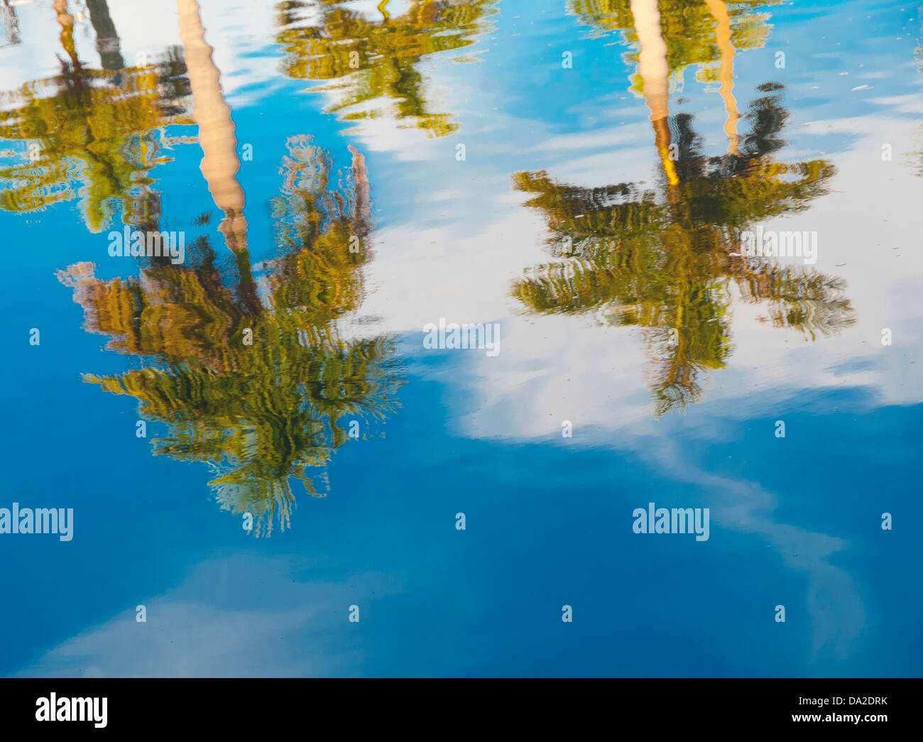USA, Florida, Bradenton, Palm Bäume im Wasser Stockfoto