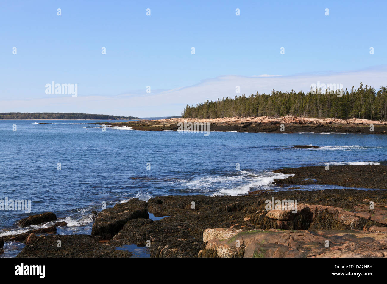 Atlantikküste Küste im Wunderland, Acadia National Park, Maine. Stockfoto