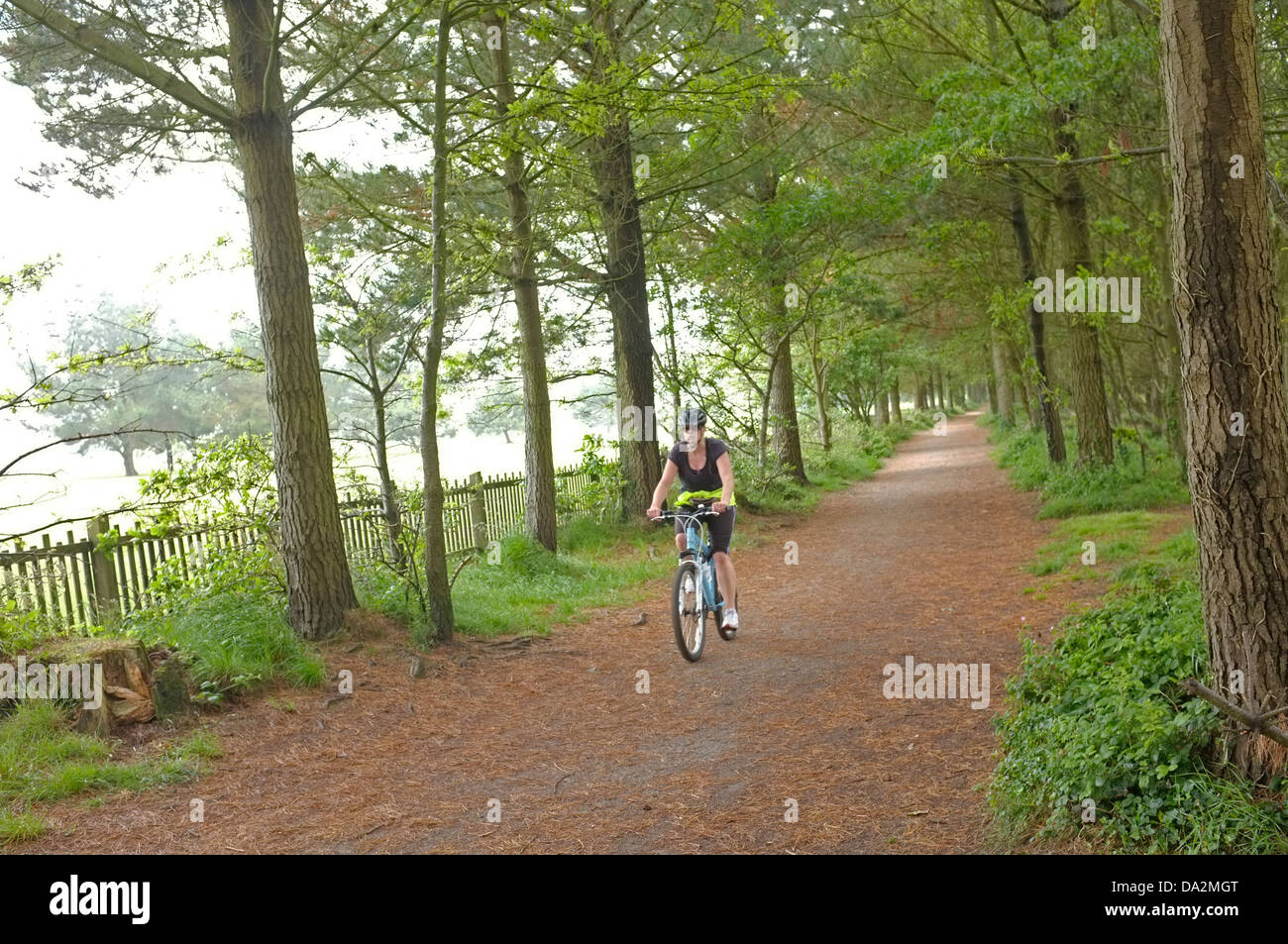 Eine Frau durchläuft Tehidy Wald in Cornwall Stockfoto