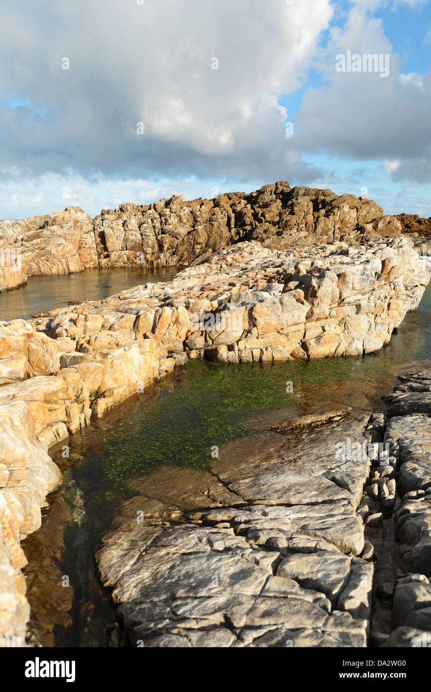 Fels-Pools an der Küste Gefahrenstelle, Gansbaai, Provinz Western Cape, Südafrika Stockfoto