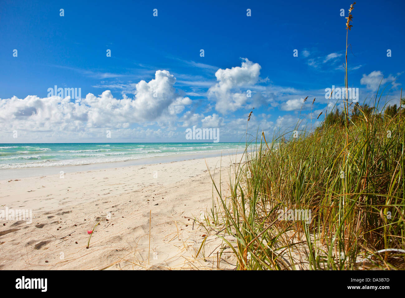 leeren Strand auf Grand Bahama island Stockfoto