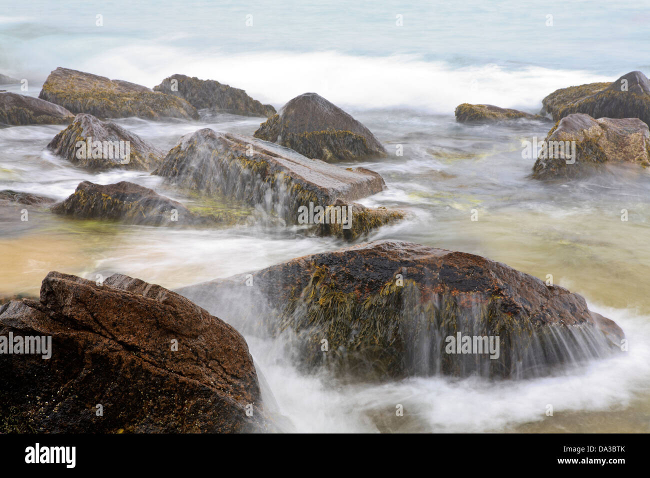 Wellen gegen Felsen entlang der Atlantik-Küste, Acadia National Park, Maine. Stockfoto