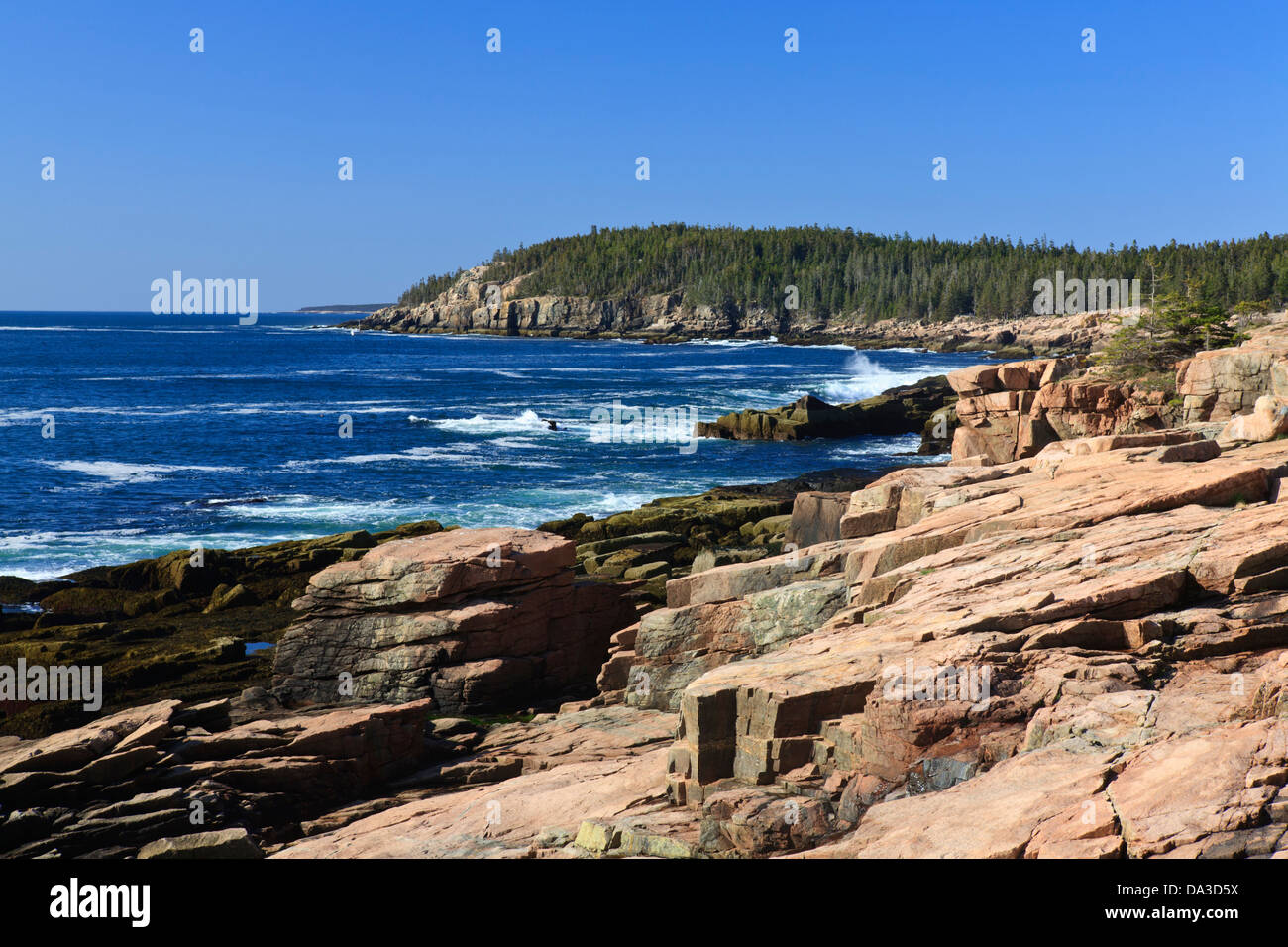 Atlantikküste Küste im Acadia National Park, Maine Stockfoto