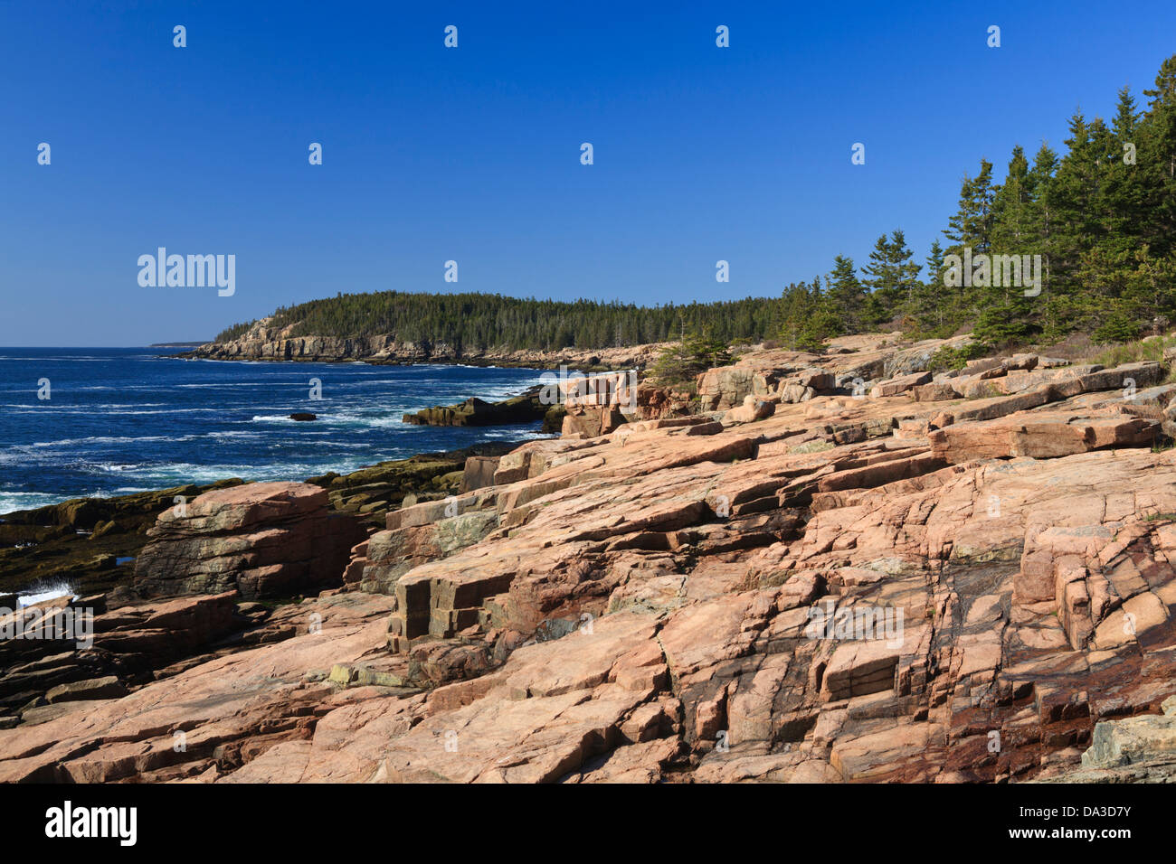 Atlantikküste Küste im Acadia National Park, Maine Stockfoto