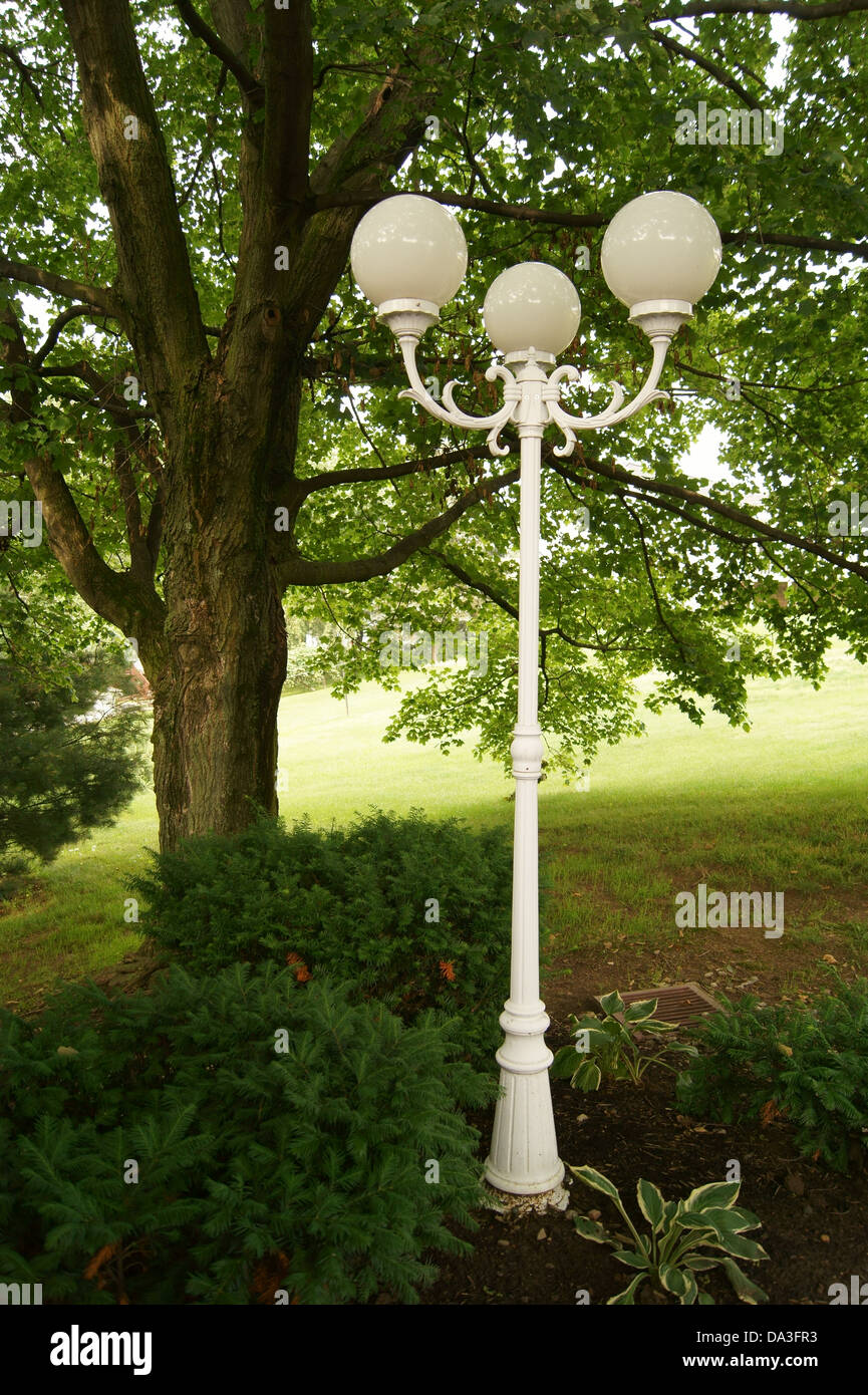 Laternenpfahl unter Schattenbaum in ruhige, gelassene Atmosphäre. Ideal für Hintergrundbild. Stockfoto