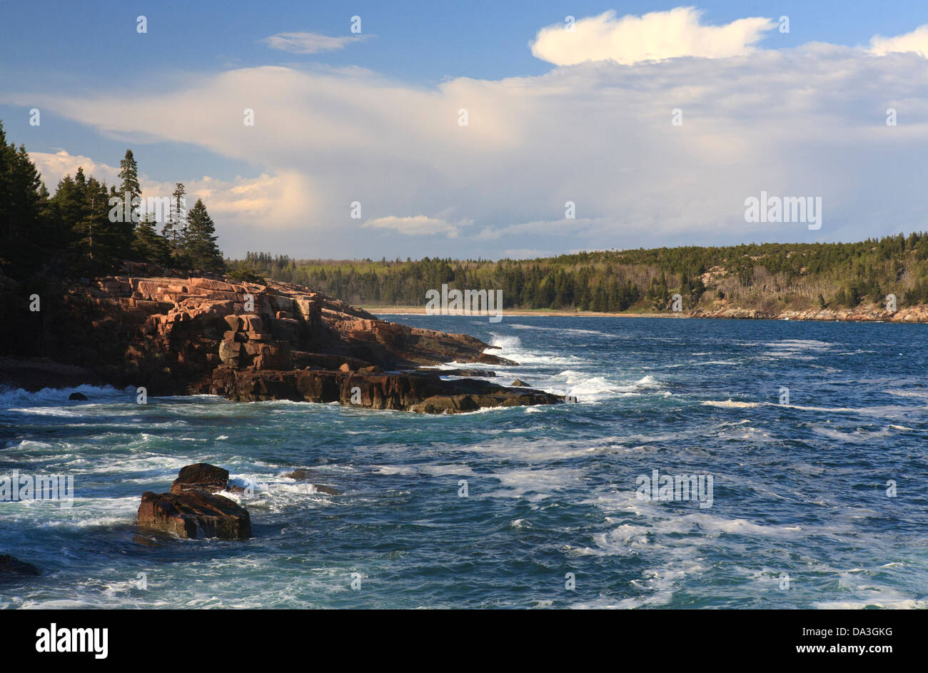 Atlantikküste Küste im Acadia National Park, Maine. Stockfoto