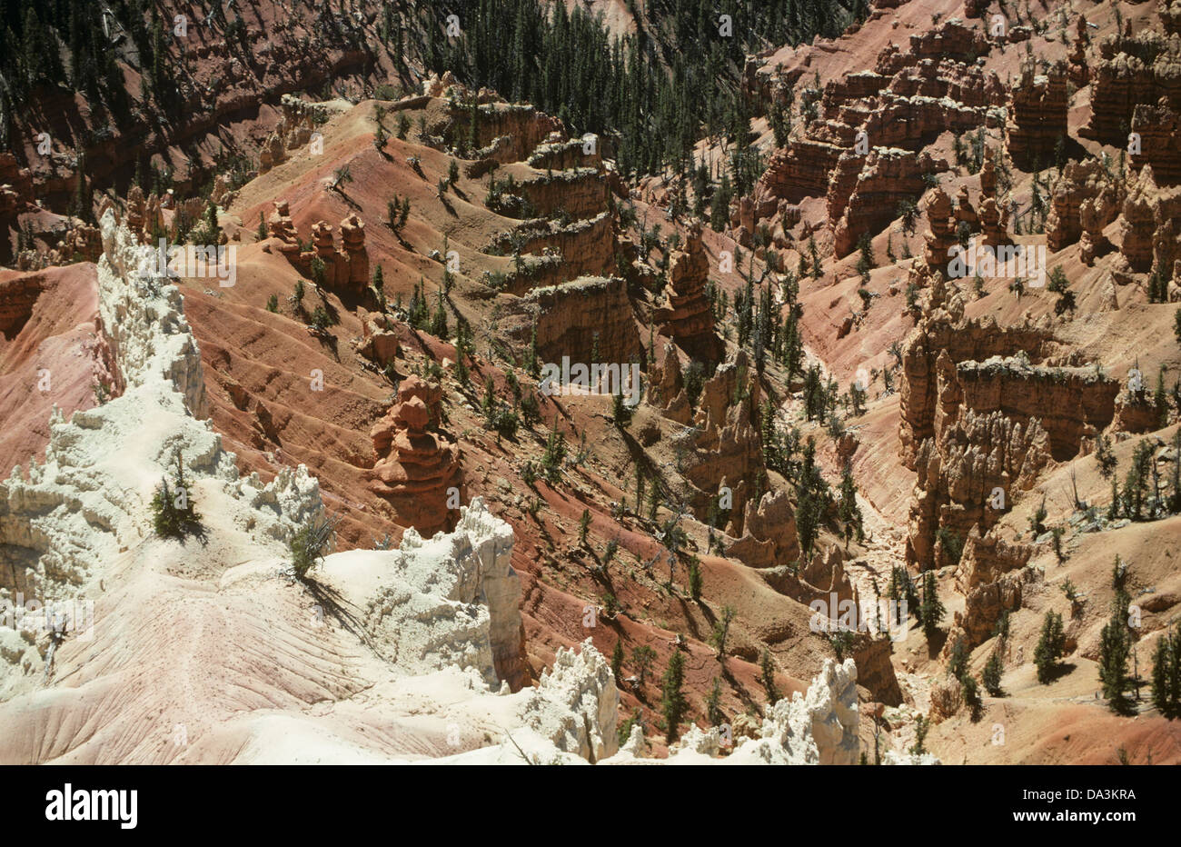 Norden übersehen, Cedar Breaks, UT 890827 032 Stockfoto