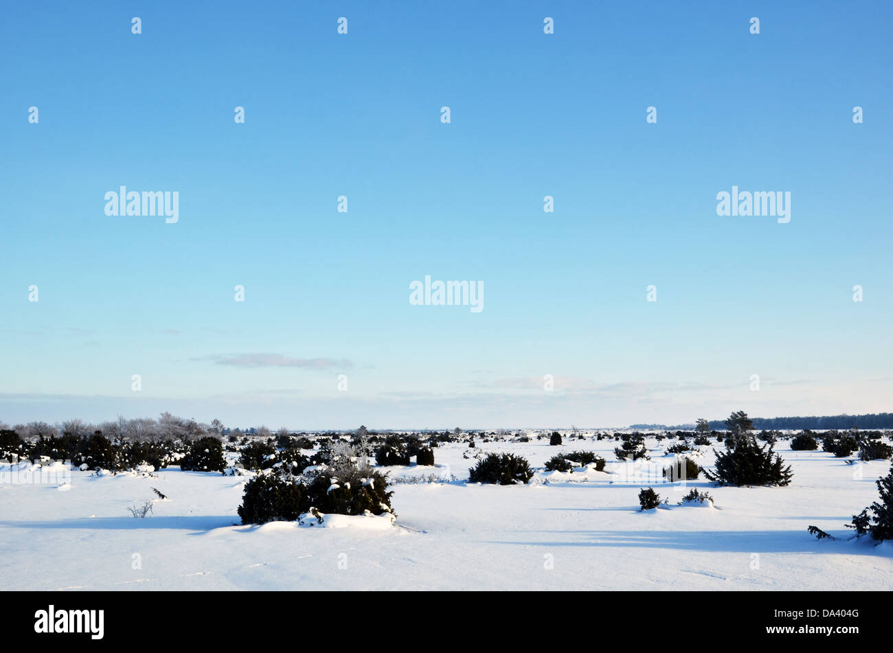Winter-Ansicht Stockfoto
