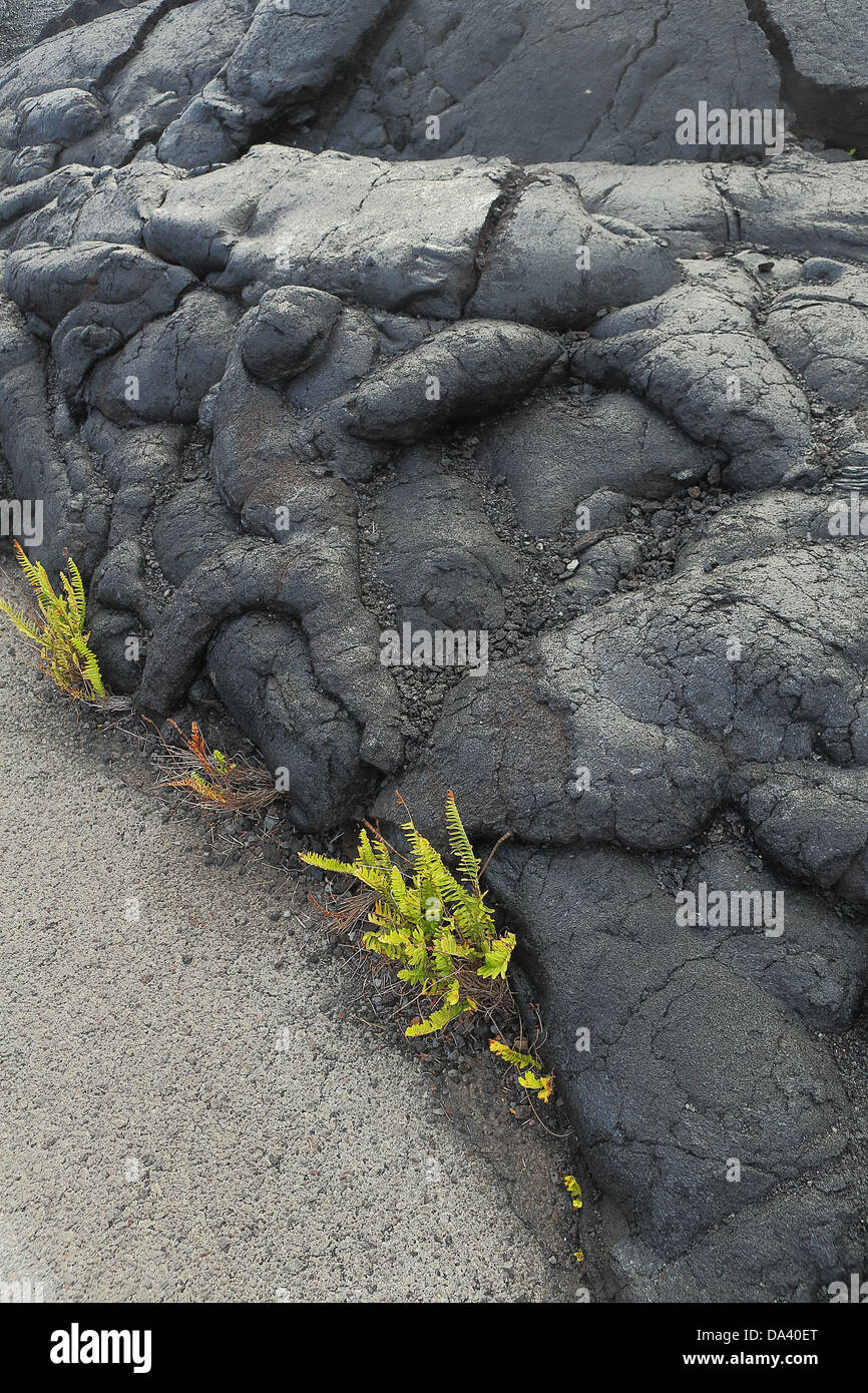 Lava-Gestein von der Eruption des Kilauea, Big Island Hawaii Stockfoto