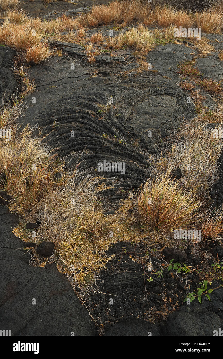 Lava-Gestein von der Eruption des Kilauea, Big Island Hawaii Stockfoto