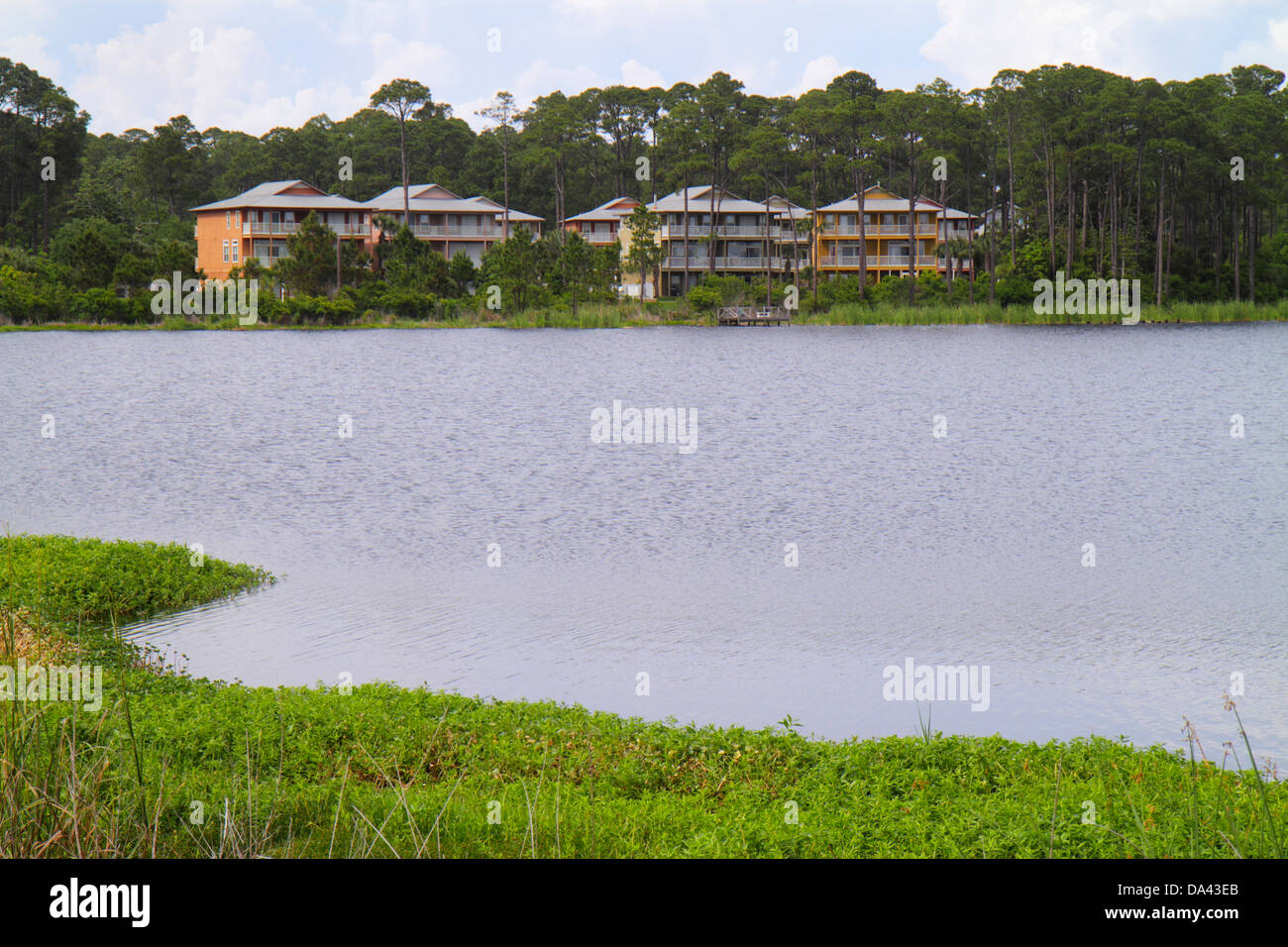 Florida Dune Allen Beach, County Highway 30A, Oyster Lake, House Houses Home Houses Homes Residence, Home, Residence, Coastal Pine Forest, Visitors travel tr Stockfoto