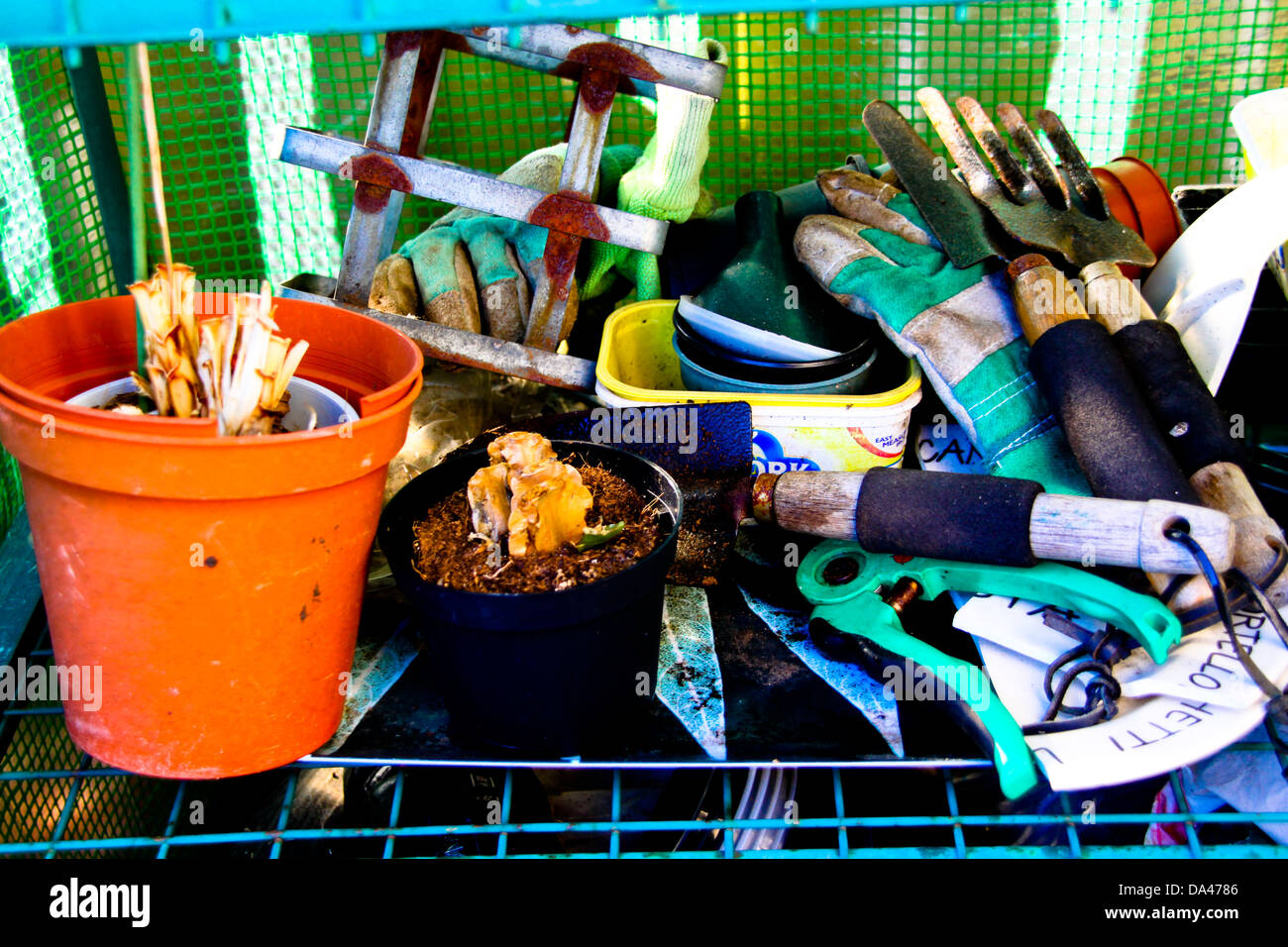 Gartengeräte und Werkzeuge auf Regal Stockfoto