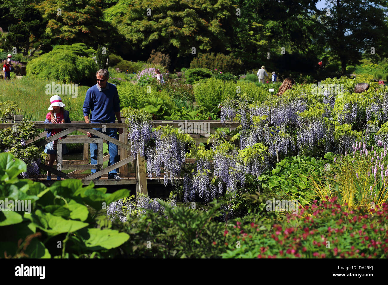 Wisley Gärten Surrey, England Stockfoto