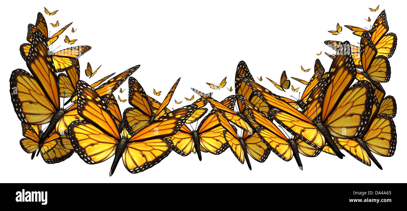Schmetterling Grenze Gestaltungselement isoliert auf einem weißen Hintergrund als Symbol für die Schönheit der Natur mit einer Gruppe von Monarch Schmetterlinge fliegen zusammen. Stockfoto