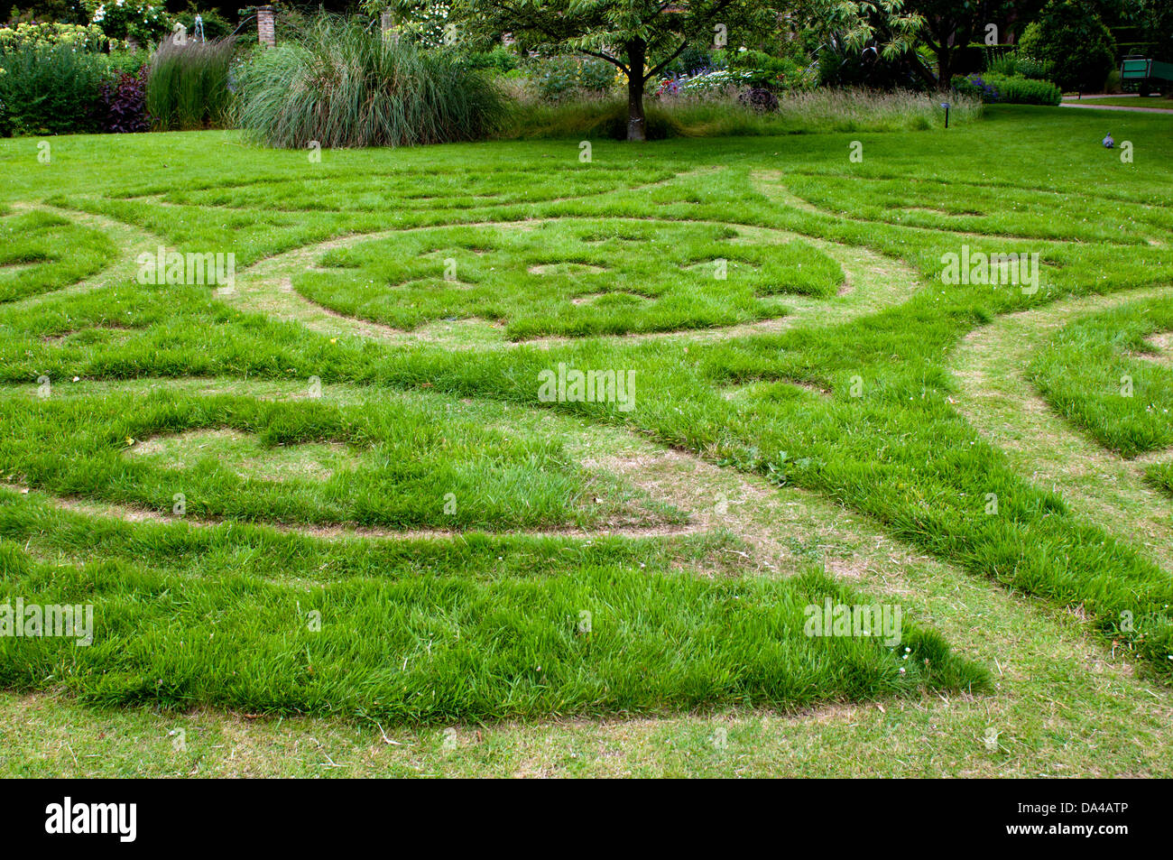 "Sporopollenin" von Graham Ensor (Grass Zeichnung, gemäht 2013) Stockfoto