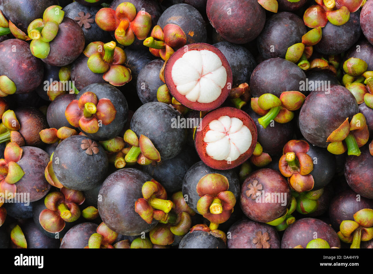 Frische Bio Thai Mangostanfrucht in Thailand zu vermarkten. Stockfoto