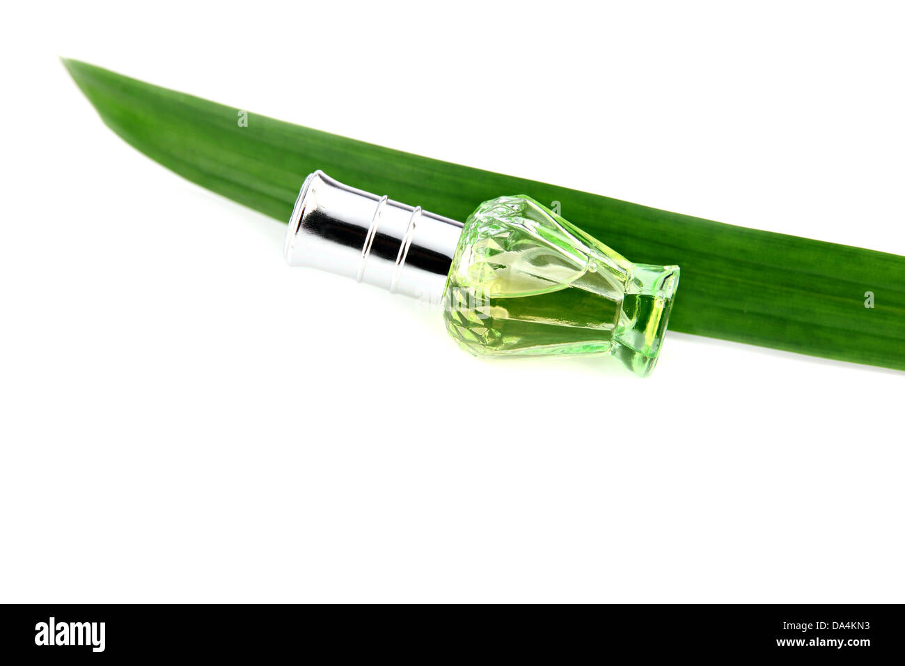 Grüne Flasche Parfüm und Pandanus auf weißem Hintergrund. Stockfoto