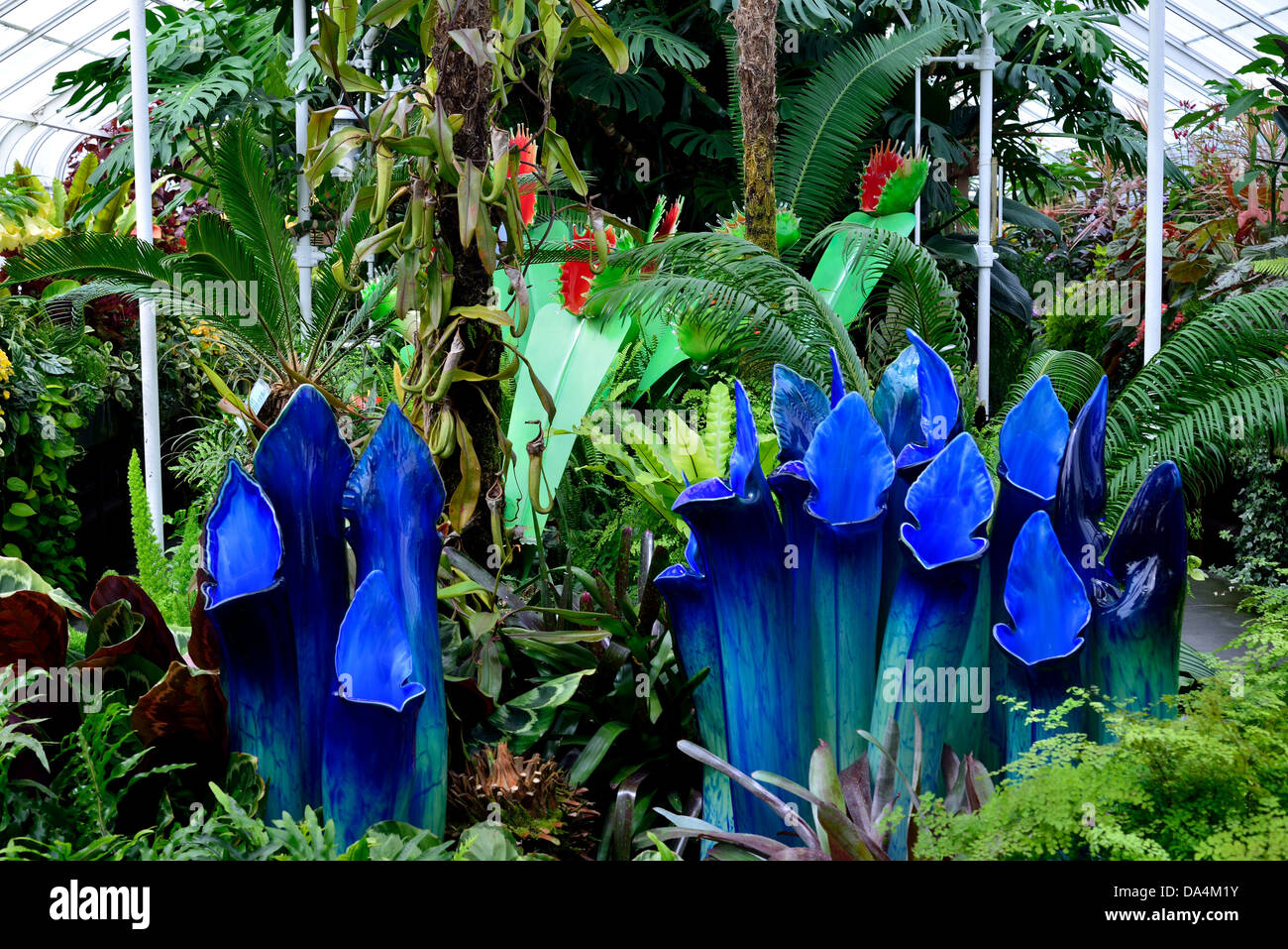 Kunst Glas Fleischfresser Pflanzen, im Display im Volunteer Park. Seattle, Washington, USA. Stockfoto