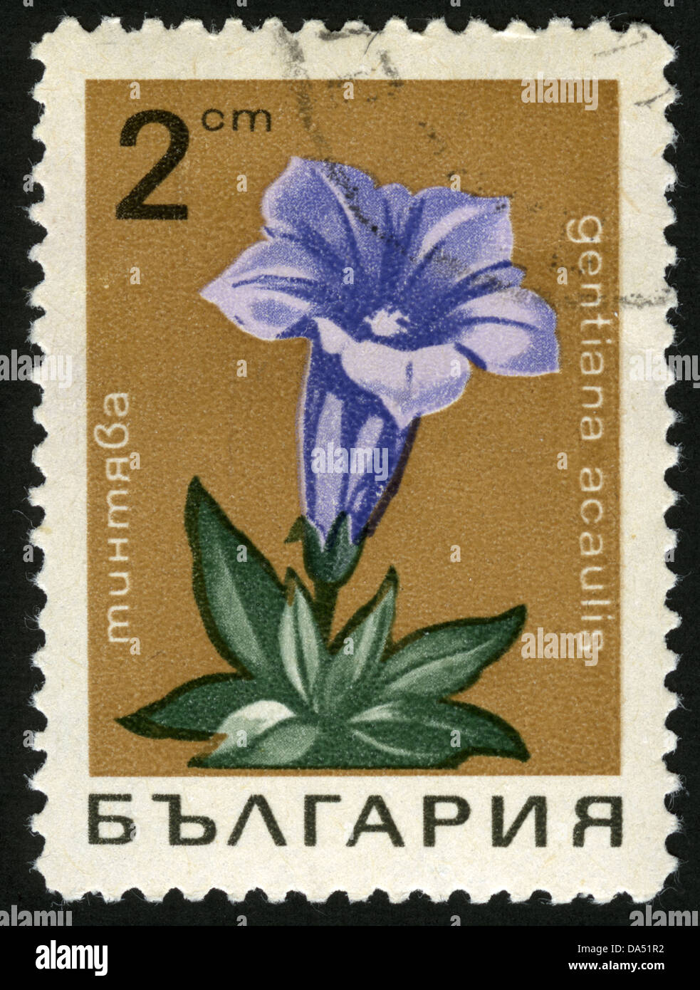 Bulgarien, Poststempel, Stempel, Flora Bulgarien, Briefmarken, Blumen, Pflanzen, Flora, Blumen Stockfoto