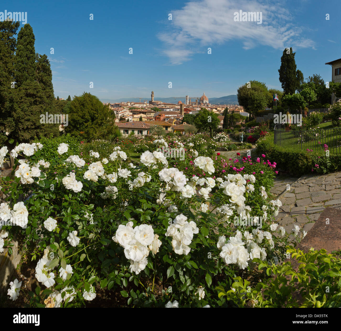 Florenz, Italien, Europa, Toskana, Toscana, Stadt, Stadt, Übersicht, Park, Blumen Stockfoto