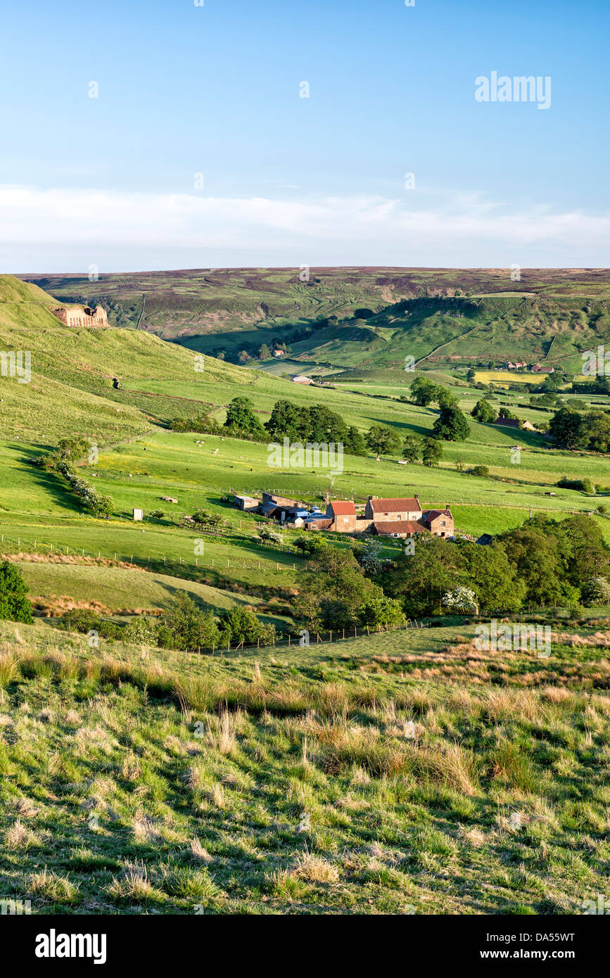 Blick nach Süden hinunter Rosedale vom Osten Mine Funktionsweise Stockfoto