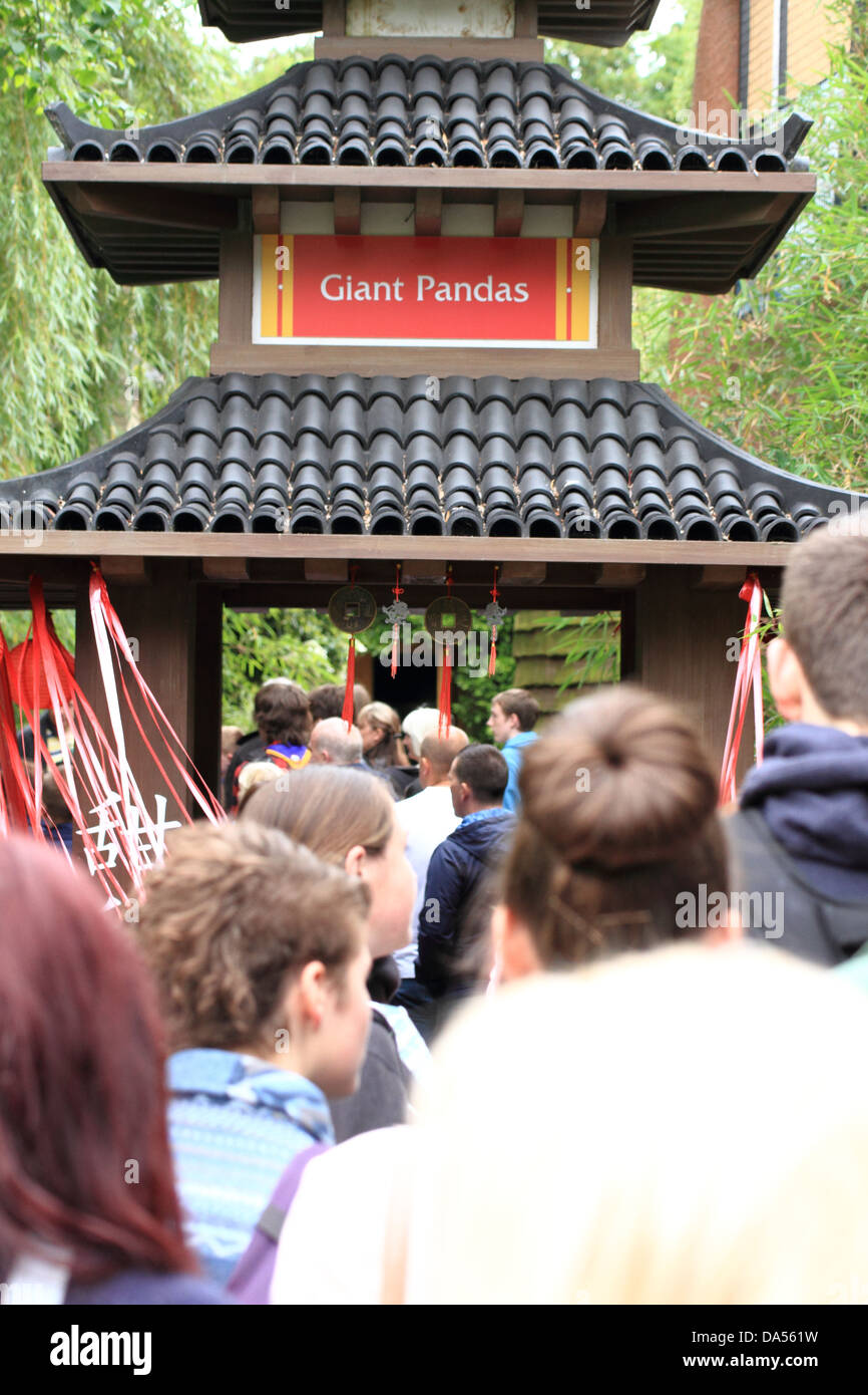 Warteschlange für Giant Panda (Ailuropoda Melanoleuca)-Ausstellung im Zoo von Edinburgh, Schottland, Vereinigtes Königreich Stockfoto