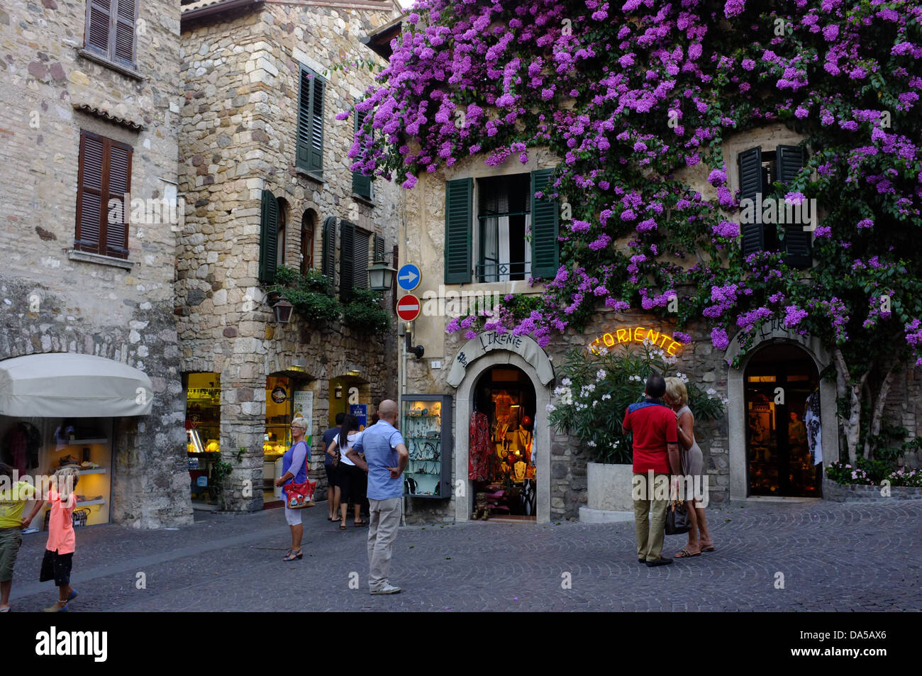 Eine Wand mit violetten Blüten. Stadt Sirmione, Gardasee, Italien. Stockfoto