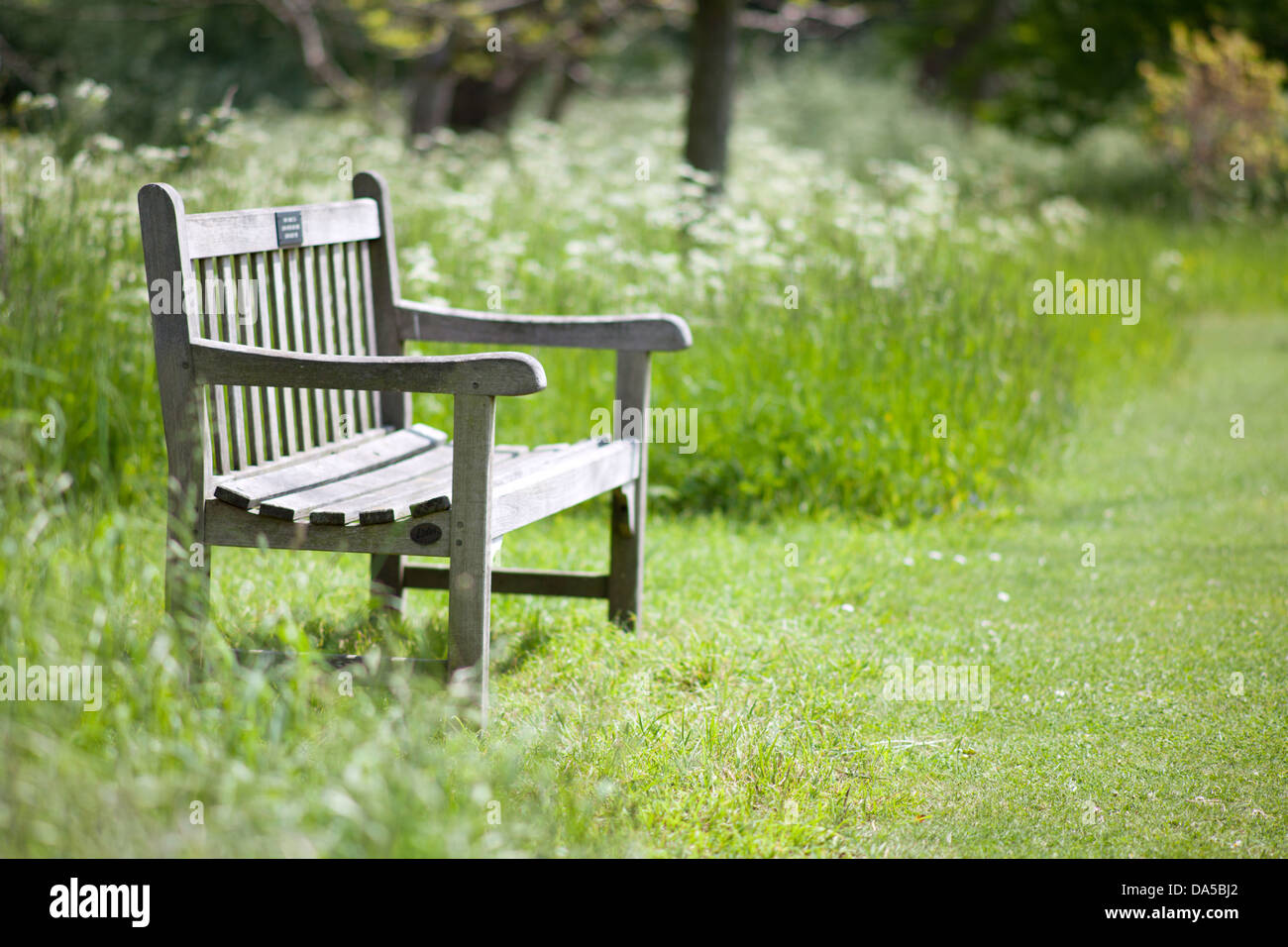 Holzbank in der Cambridge University Botanical Gardens Cambridge Stockfoto