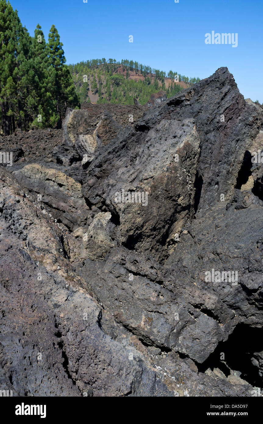 Erstarrten Magma aus der Lavastrom, der 1909 von Chinyero auf Teneriffa, Kanarische Inseln, Spanien ausgebrochen Stockfoto