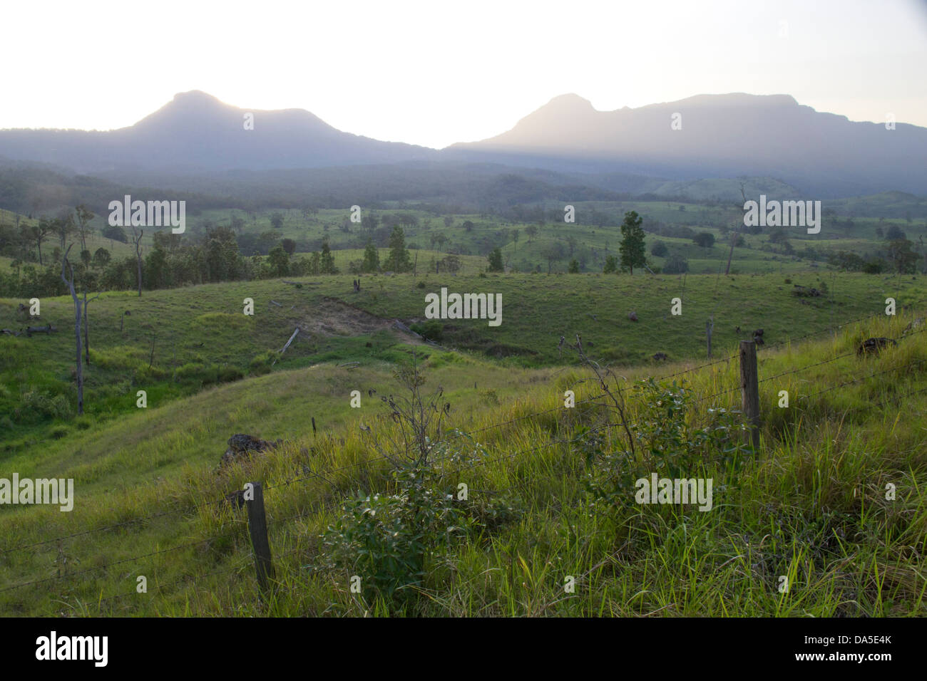 Australische Natur - Great Dividing Range Gebirge Stockfoto