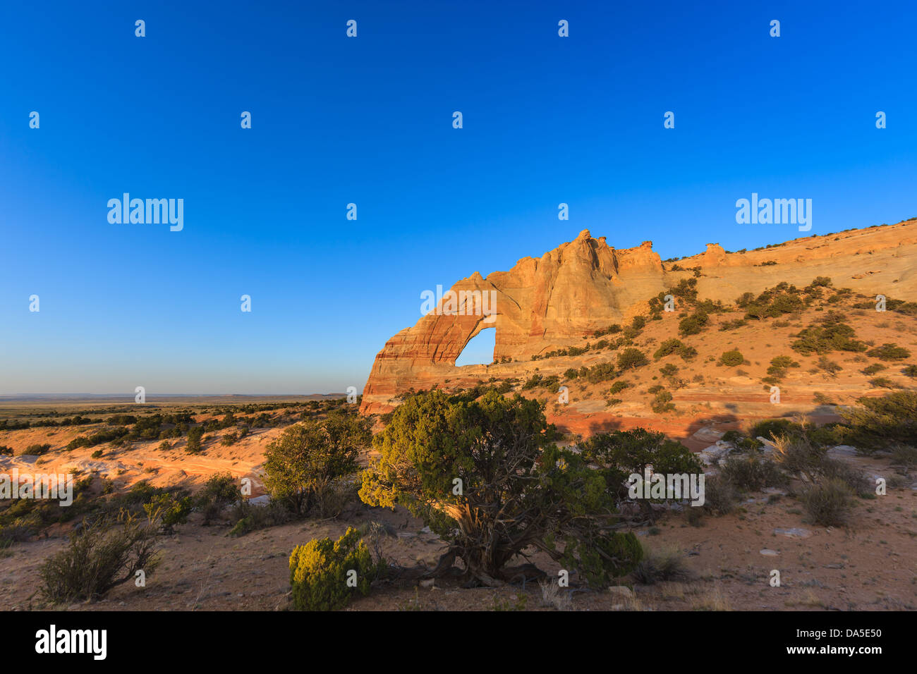White Mesa Arch, im Nord-östlichen Teil von Arizona, USA Stockfoto
