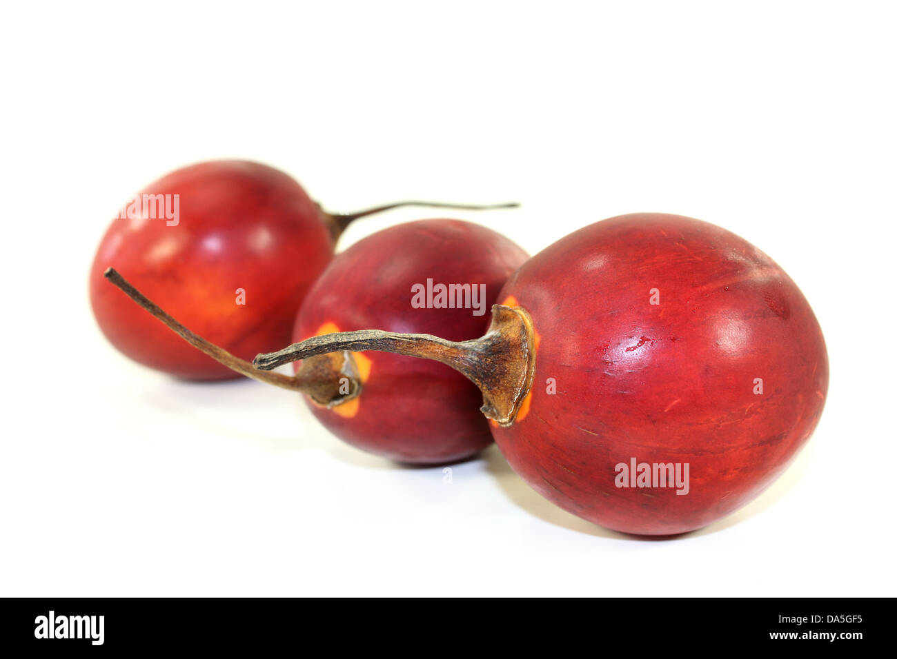 drei rote Tamarillo vor weißem Hintergrund Stockfoto