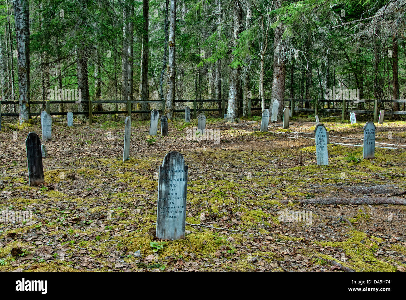 LVS-Folie, Friedhof, Chilkoot, Trail, nationale, historische, Website, Friedhof, Grabsteine, Alaska, USA, USA, Amerika Stockfoto