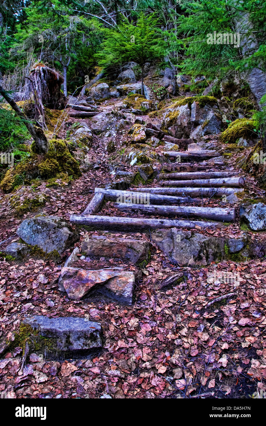 Chilkoot Trail, nationale, historische, Website, Skagway, Alaska, USA, USA, Amerika, Stockfoto