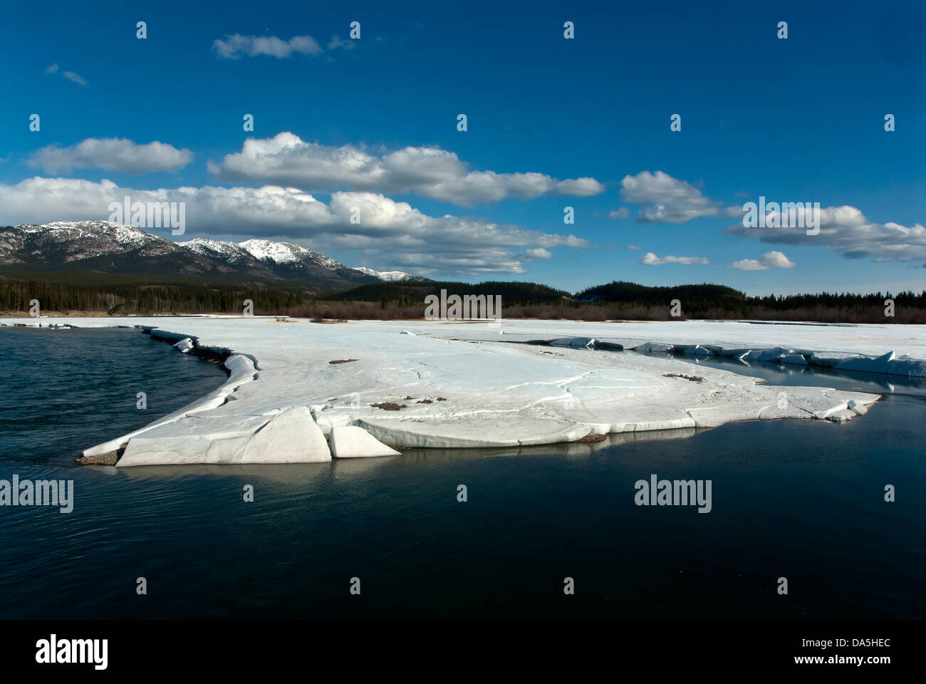 Eis, Trennung, Yukon River, Whitehorse, Yukon, Kanada, Fluss, Landschaft, Stockfoto