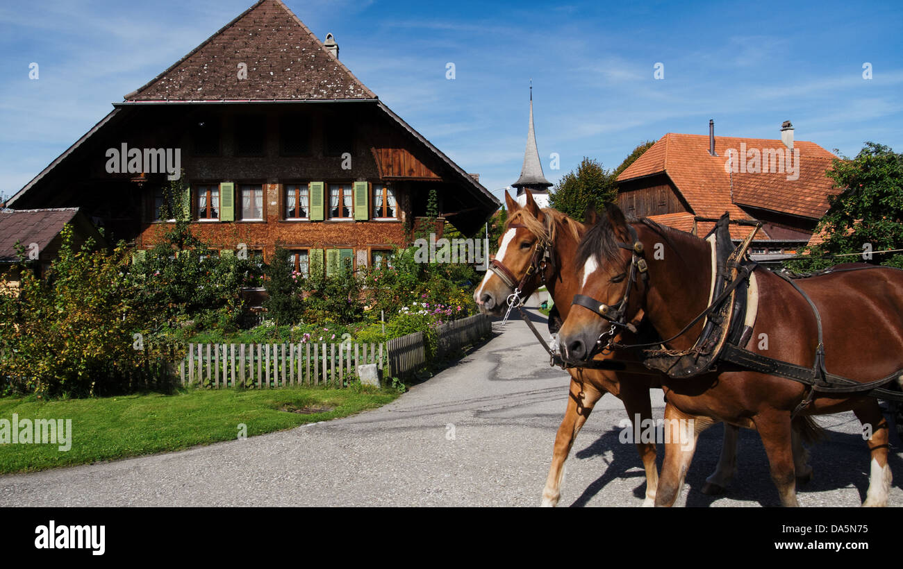Bauernhaus, Emmental, Haus, Heim, Kanton Bern, Bern, Kirchturm, Lauperswil, Pferde, Pferd-Team, der Schweiz, Europa, Stockfoto