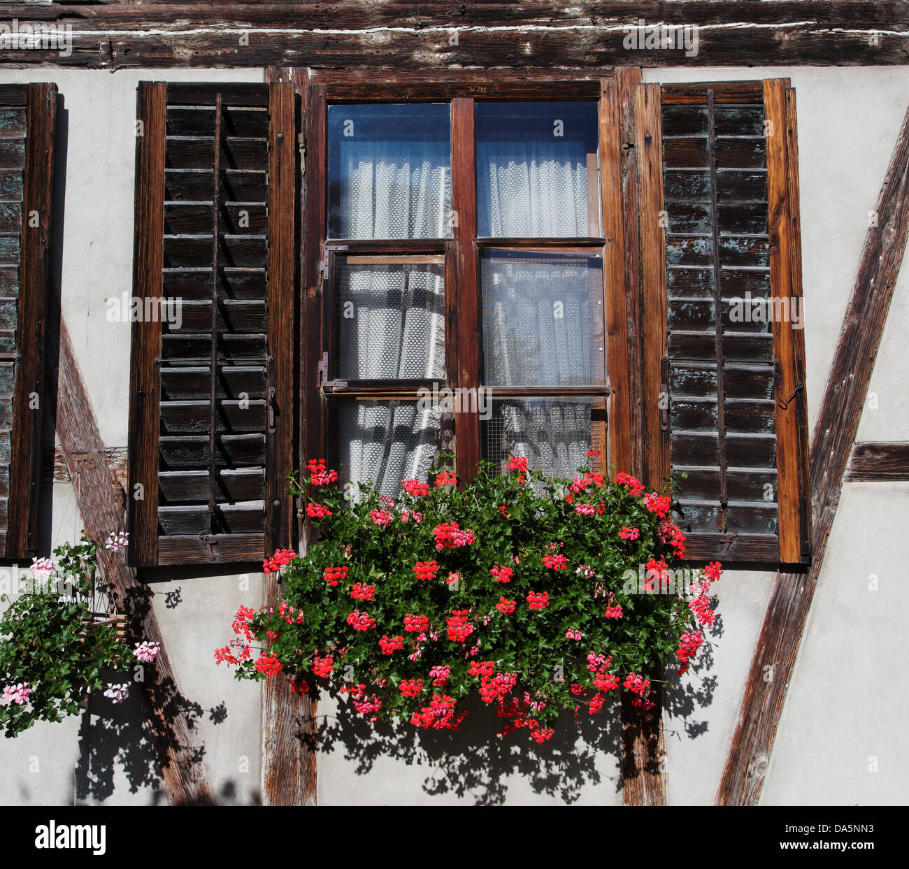 Bauernhaus, Blumen, Dekoration, Emmental, Fassade, Fenster, Rollladen,  Fensterläden, Geranien, Haus, Heim, Kanton Bern, Bern, rot, Rüde  Stockfotografie - Alamy