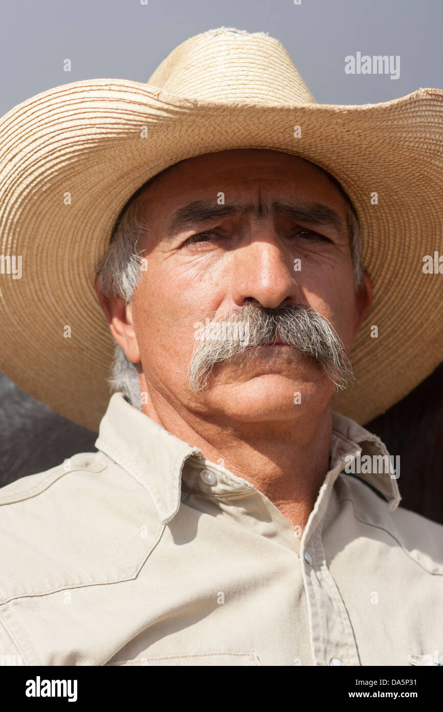 Cowboy-Porträt Stockfoto