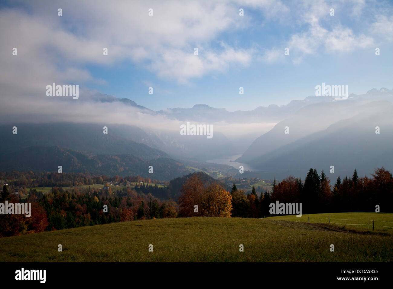 Stimmung, Herbst, Bad Goisern, Oberösterreich, Österreich, Europa, Bright, Laub, Nebel, Stimmung, Holz, Wald, Stockfoto